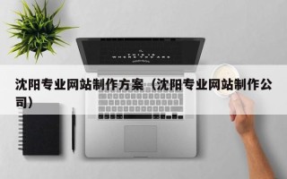 阿拉善盟沈阳专业网站制作方案（沈阳专业网站制作公司）